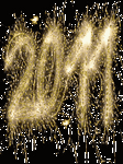 pic for 2011 new year
